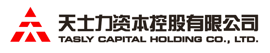 凯时国际app资本控股有限公司